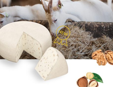 New: Goat Cheese with Walnuts & Hazelnuts